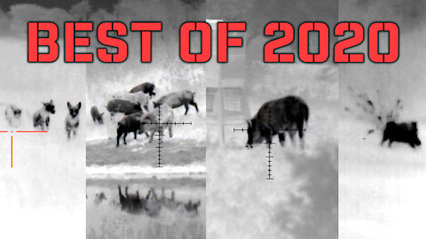 Best of 2020 - Thermal hog hunting in Texas