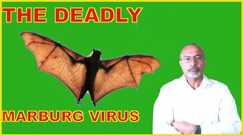 Marburg Virus (Why All The Fuss?)