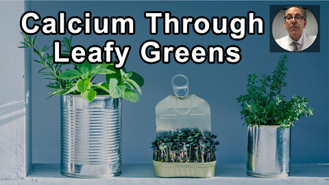 We Can Easily Get All The Calcium We Need Through Leafy Greens - Joel Kahn, MD - Interview