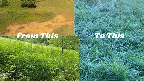 Is Rotational Grazing Worth It?