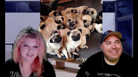 The Brad & Abbey Show Ep 4: Campfire Pugs Edition