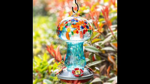 Muse Garden Hummingbird Feeder for Outdoors, Hand Blown Glass, 34 Ounces, Containing Ant Moat,...