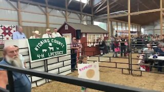 6-Year-Old Wyoming County 4H-er sells $4,000 pie in auction