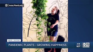 Valley woman's love for plants helping others find joy