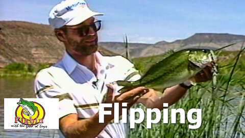 Flipping waterdogs with Steve Penfield