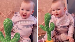 Baby has adorable conversation with talking cactus toy