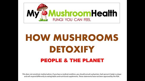 How Mushrooms Detoxify people and the Planet