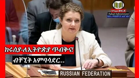 ETHIOPIA | RUSSIA በተባበሩት መንግሥታት ለኢትዮጵያ ጥብቅና ከሚቆሙት አንዷ |Hanna Evstigneeva | ማነች?