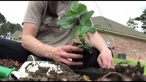 I HAD A Plan.. BUT SHE HAD another!! How to START NEW NO TILL GARDEN - The Mac's