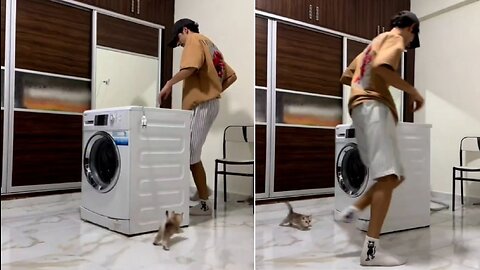 Cat Chasing & Playing with Pet Parent | Adorable Cat Pursuits! 🐾