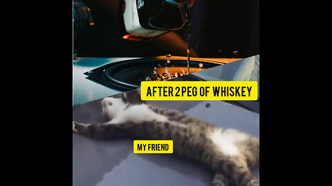 2 Peg of Whiskey Effect: Funny Cat
