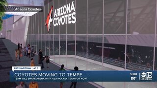 Coyotes weigh in on move to new ASU arena in Tempe