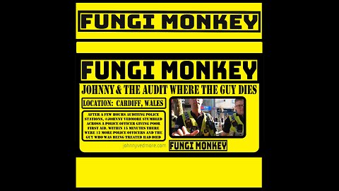 @JohnnyVedmore & The Audit Where The Guy Dies - Queen St Cardiff #AuditEverything #FungiMonkey