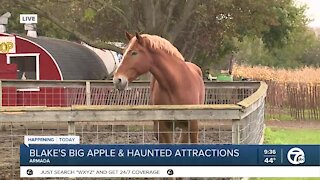 Blake's Big Apple & Haunted Attractions