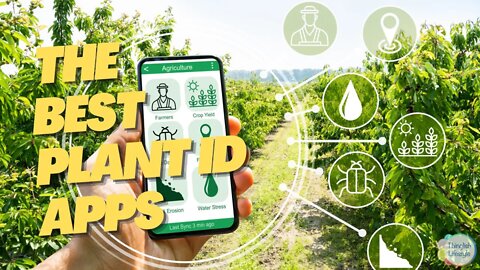 The Ultimate Guide to the Best Plant Identification Apps #plantid