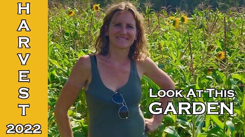 In The Pumpkin Patch | The First Pumpkin Harvest September 🎃 2022