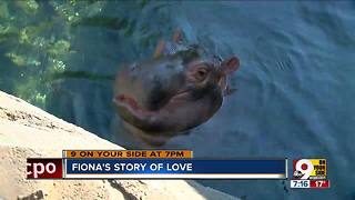 Fiona's story of love