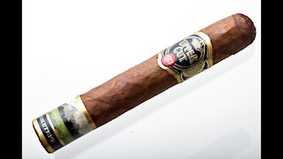 Punch Uppercut Robusto Cigar Review