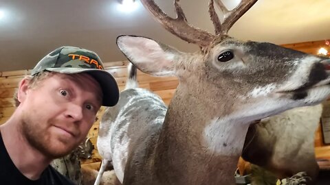 INCREDIBLE TAXIDERMIST - Wilson's Wildlife Artistry