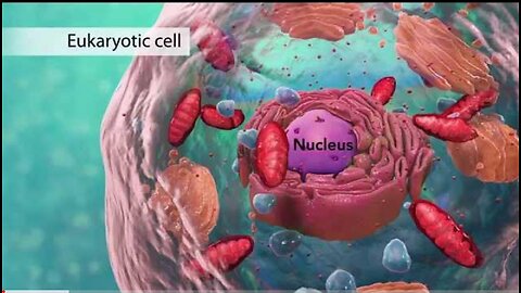 Biology- Cell Structure I Nucleus Medical Media