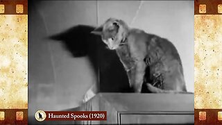 Haunted Spooks (1920) 🐱 Cat Movies 🎥🐈