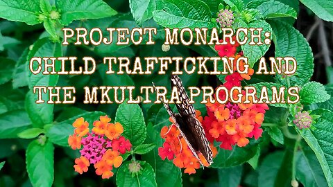 I.T.S.N. is proud to present: 'Project Monarch: Child Trafficking and MK Ultra Programs