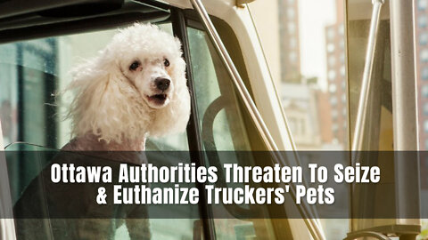 Ottawa Authorities Threaten To Seize & Euthanize Truckers' Pets