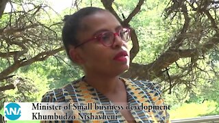 South Africa – Johannesburg – Minister of small business development (goy)