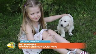 Pet Talk Tuesday – Dr. Kandefer on pet manners