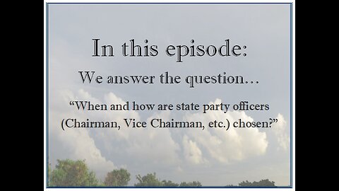 When and how are state party officers chosen?