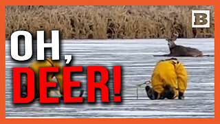 Oh, Deer!! Minnesota Firefighters Rescue Deer Trapped on Frozen Lake