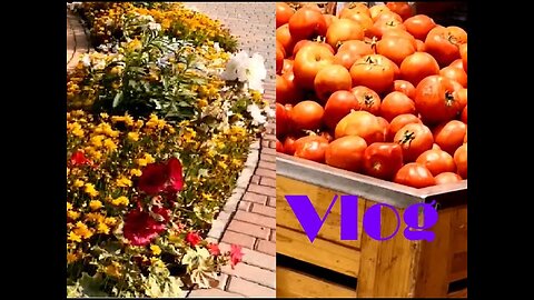 Vlog | Grocery | park | shoping |