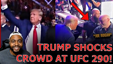 Trump Gets STANDING Ovation With Dana White As He Embraces Joe Rogan & Guy Fieri At UFC 290!