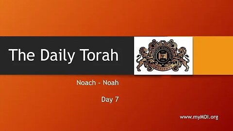 Noach / Noah - Day 7