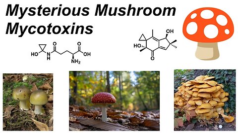 The Science of Mushroom Mycotoxins