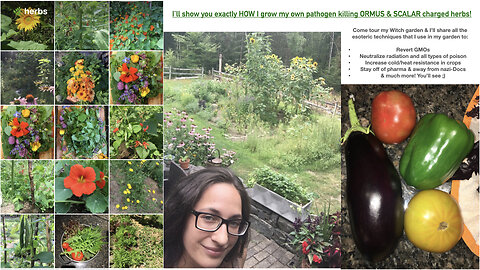 How To Create An Organic Natural Health Garden: Part 1