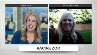 Racine Zoo discusses upcoming July events