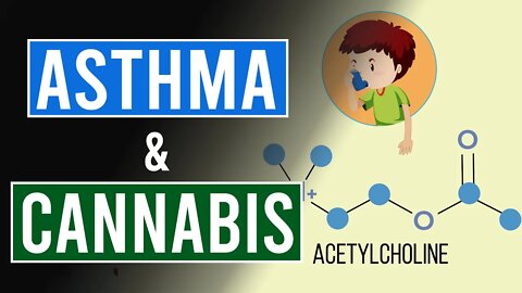 Does Cannabis Help with Asthma?
