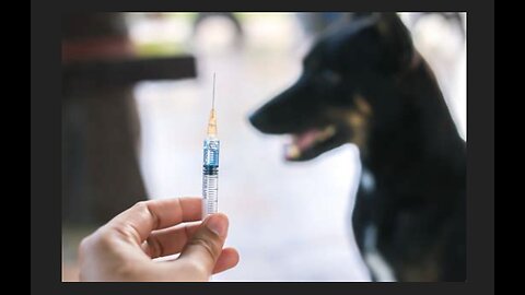 THE TRUTH ABOUT THE RABIES VAXX- (Part 2)