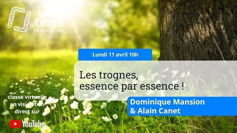 Les trognes, essence par essence !