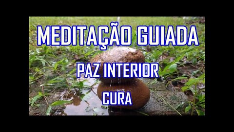 MEDITAÇÃO GUIADA - CURA - PAZ DE ESPÍRITO - LIMPEZA ESPIRITUAL