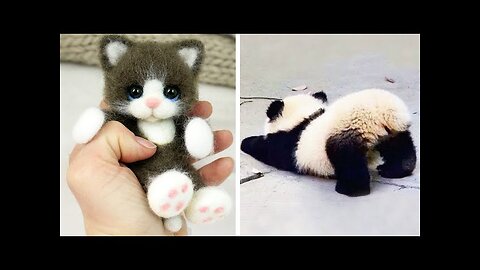 Cute baby animals Videos Compilation cute moment of the animals