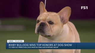 Bixby dog wins top honors at dog show