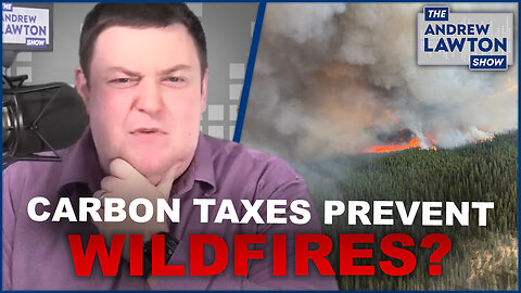 The Liberals think carbon taxes fight forest fires