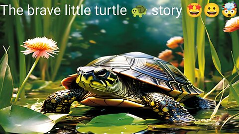 The Brave Little Turtle moral story 🐵 🐭 🙈 😍 🙀 🙈 🙉 🙊 👴 👵 👨 👩 👸 👳 👏 ✌️ 👍👌