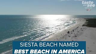 Florida's Siesta Beach named best beach in US