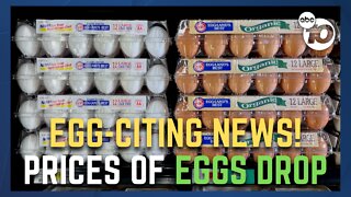 Eggs prices drop for first time in 2023