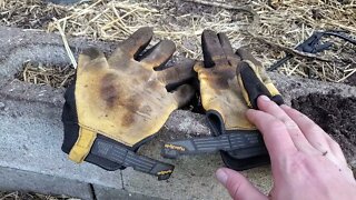 Best Work Gloves for homesteaders