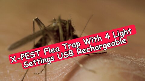 X-PEST Flying Insect Trap for Inside And Outside With 4 Light Settings, USB Rechargeable, Review
