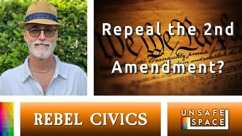 [Rebel Civics] Repeal the 2nd Amendment?